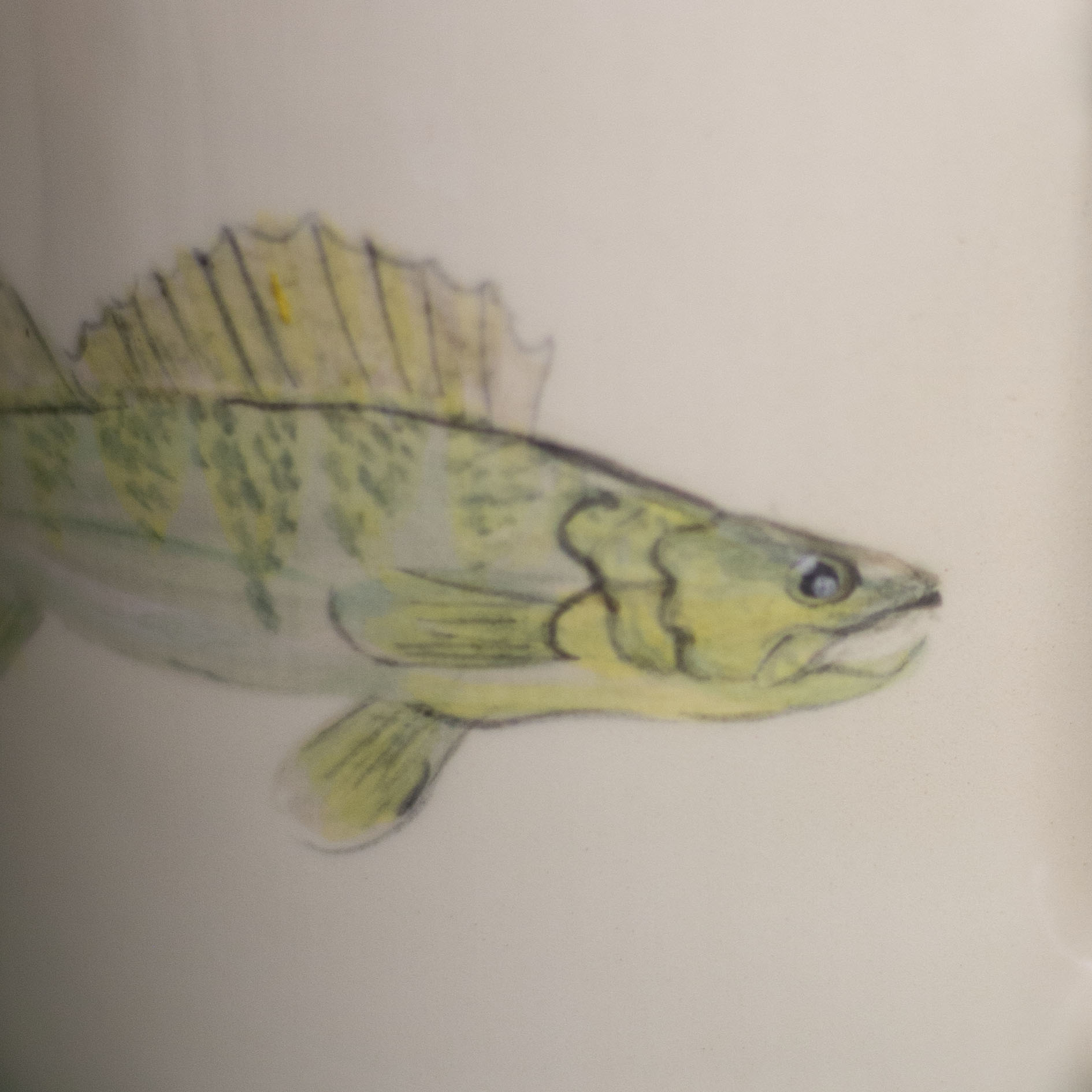 Kubek SANDACZ 450 ml - obrazek 3